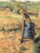 Camille Pissarro, The collection of hay farmer